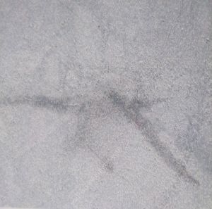 ĐÁ BĂM TRẮNG 30x60 cm