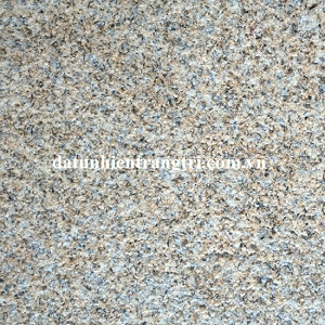 GRANITE VÀNG BĂM MẶT 30x60 Cm