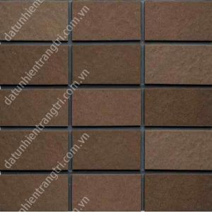 GẠCH INAX 255 VIZ - 6