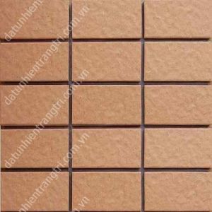 GẠCH INAX 255 VIZ -10