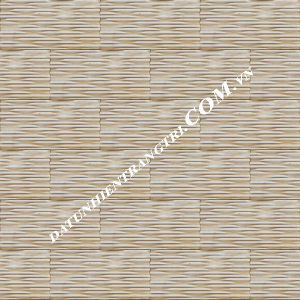 ĐÁ RĂNG LƯỢc VÀNG 10x20 cm